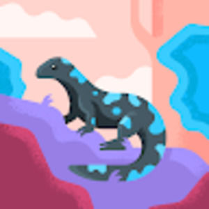 Meet your Posher, Tori